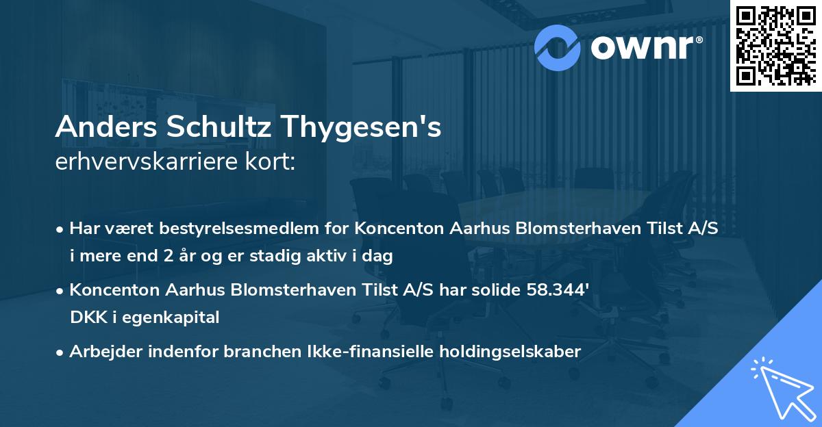 Anders Schultz Thygesen's erhvervskarriere kort