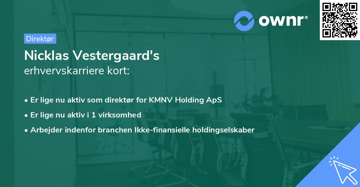 Nicklas Vestergaard's erhvervskarriere kort