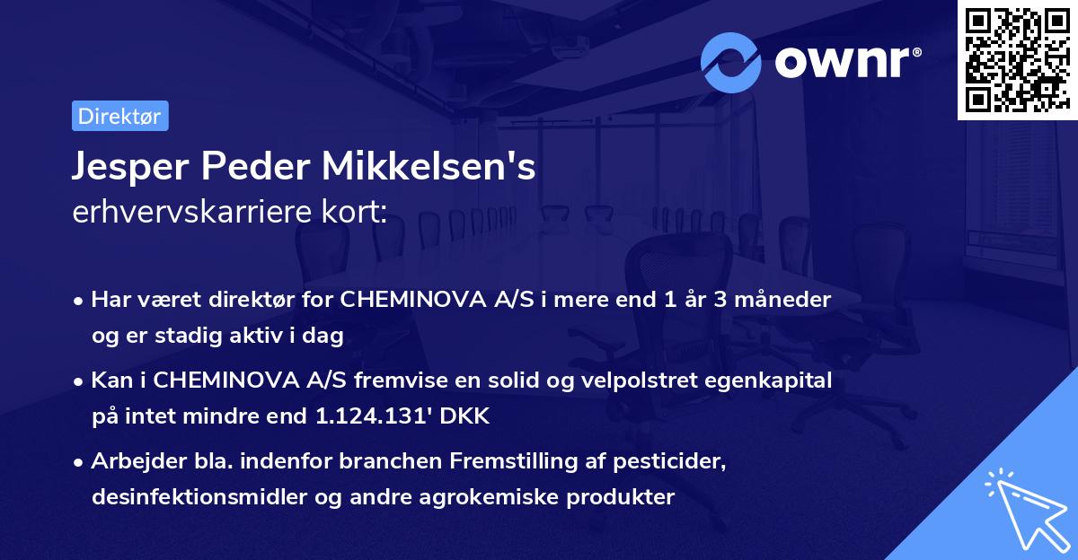 Jesper Peder Mikkelsen's erhvervskarriere kort