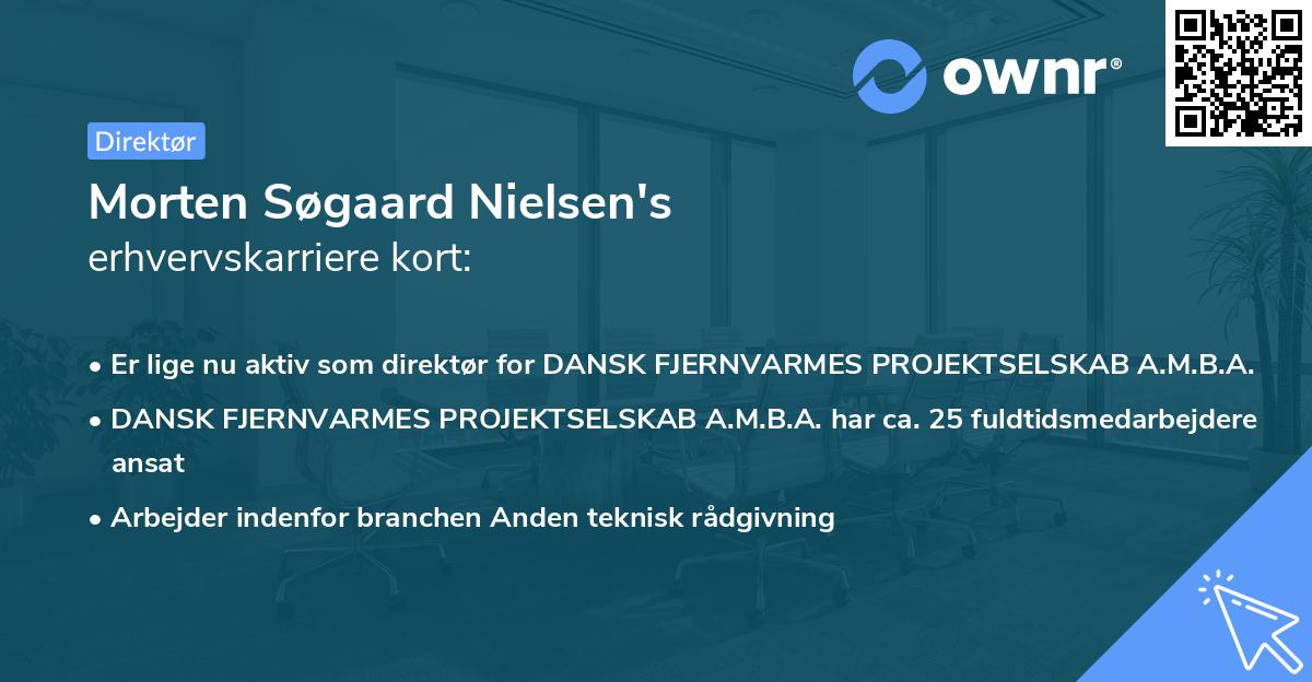 Morten Søgaard Nielsen's erhvervskarriere kort