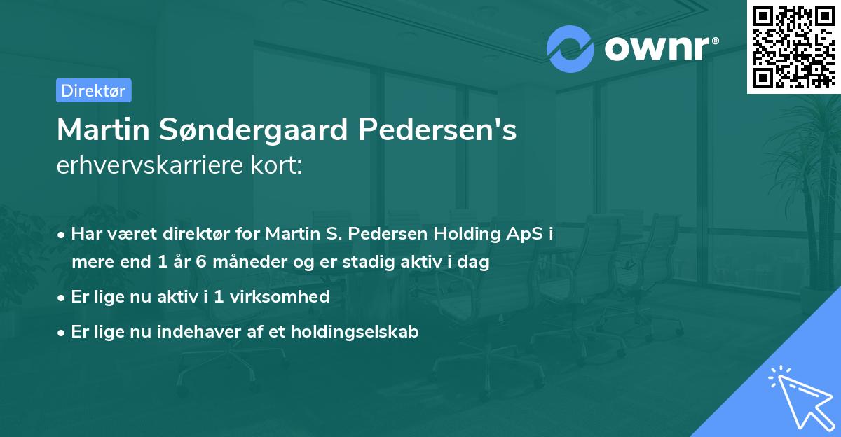 Martin Søndergaard Pedersen's erhvervskarriere kort
