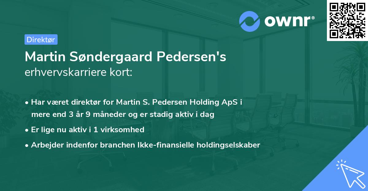 Martin Søndergaard Pedersen's erhvervskarriere kort