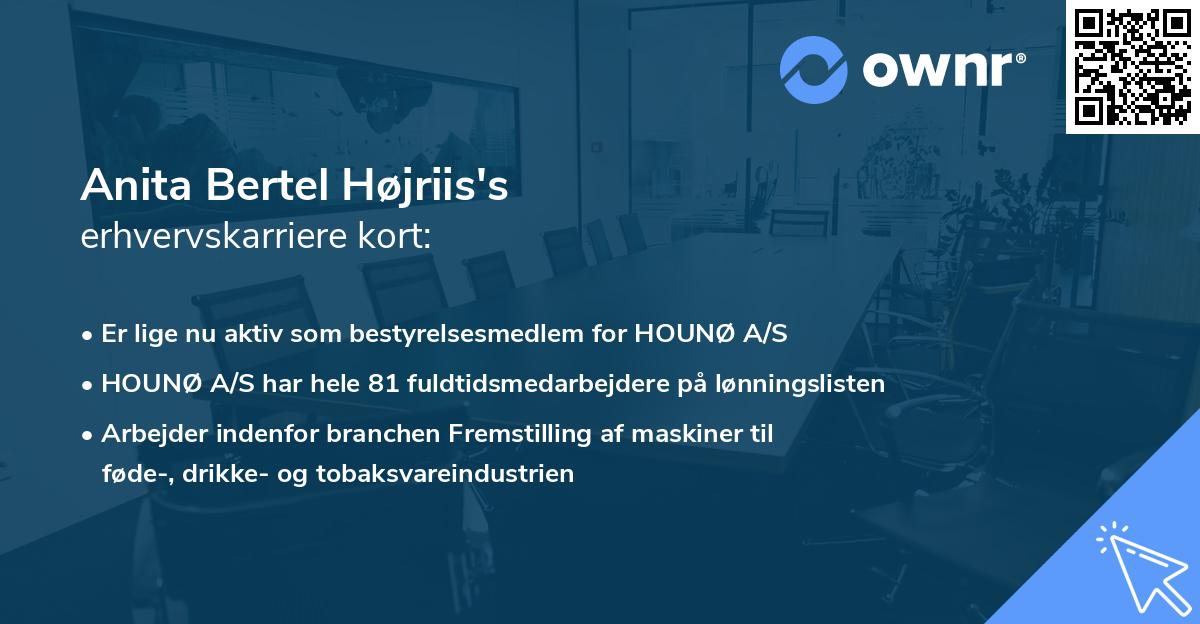 Anita Bertel Højriis's erhvervskarriere kort