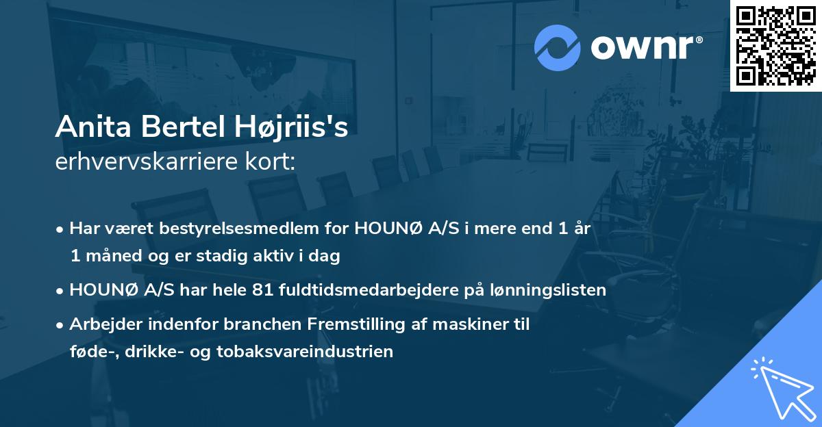 Anita Bertel Højriis's erhvervskarriere kort