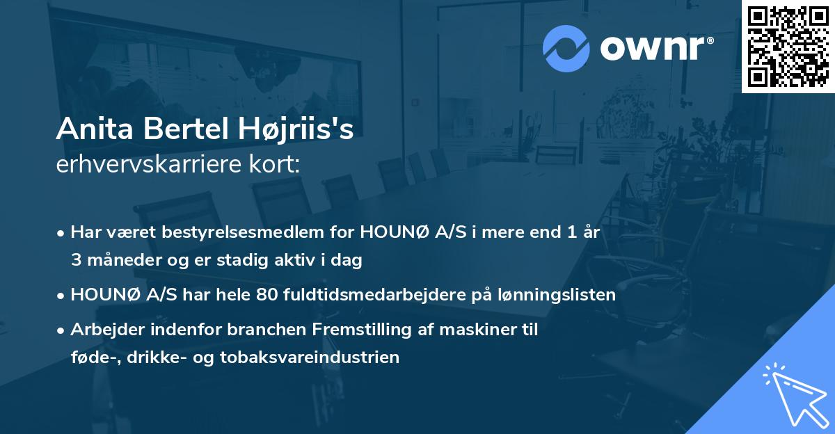 Anita Bertel Højriis's erhvervskarriere kort