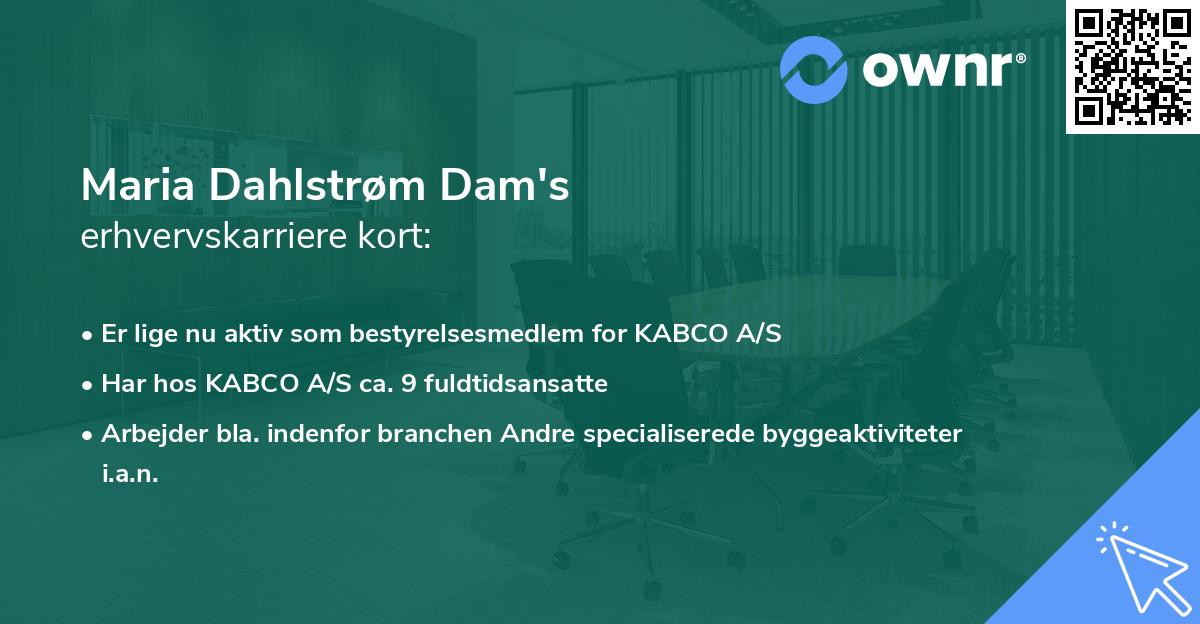 Maria Dahlstrøm Dam's erhvervskarriere kort