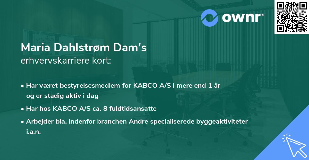 Maria Dahlstrøm Dam's erhvervskarriere kort