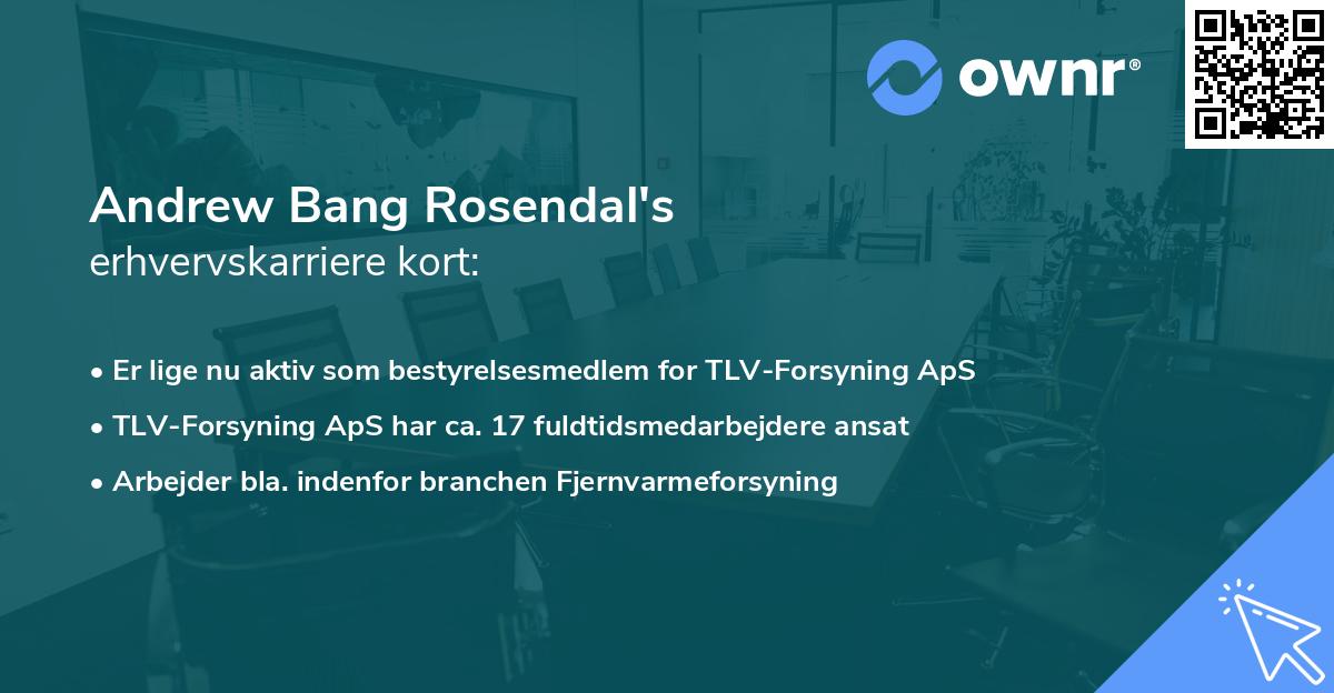 Andrew Bang Rosendal's erhvervskarriere kort