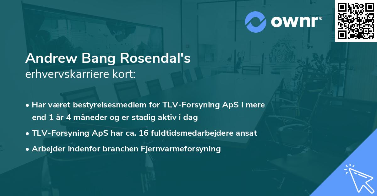 Andrew Bang Rosendal's erhvervskarriere kort