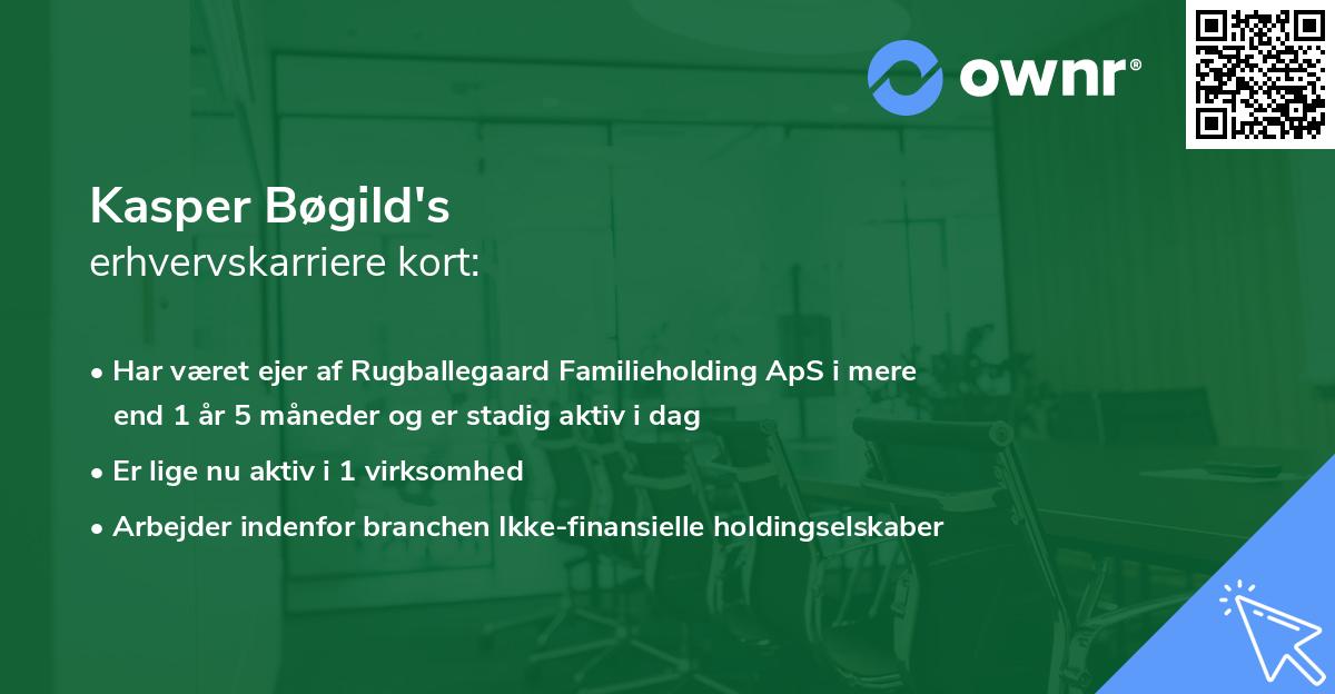 Kasper Bøgild's erhvervskarriere kort