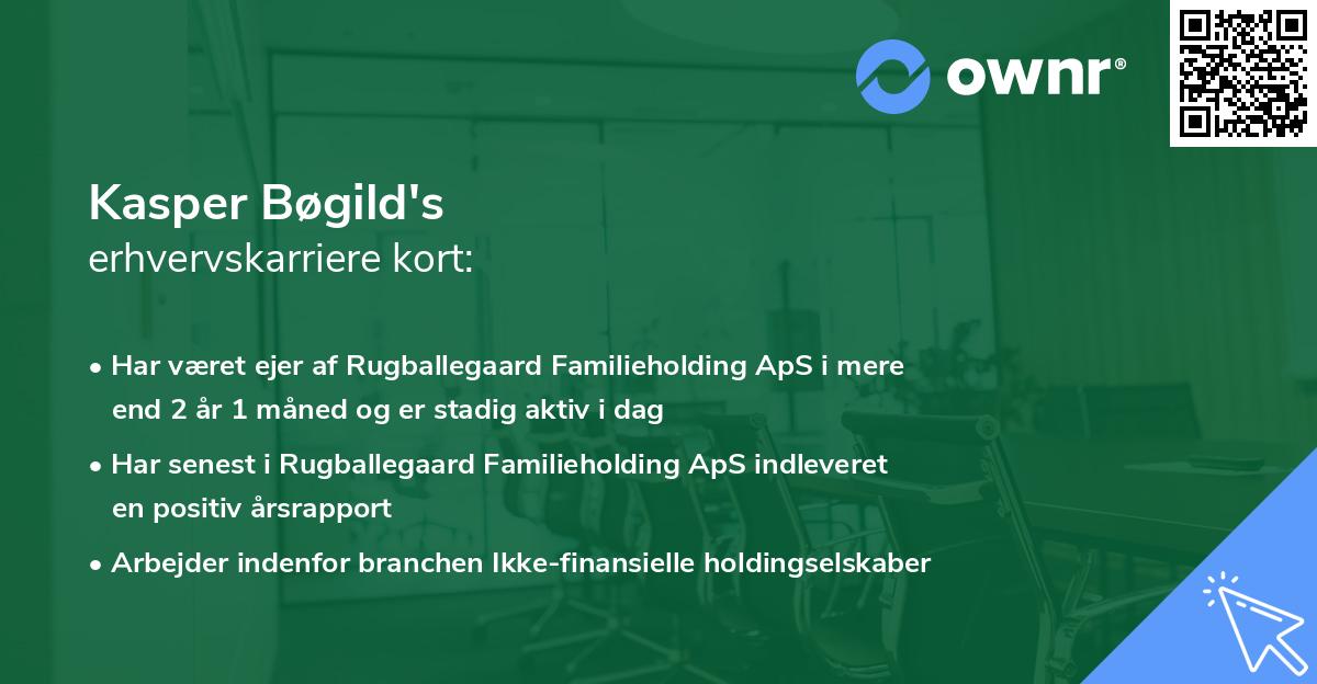 Kasper Bøgild's erhvervskarriere kort