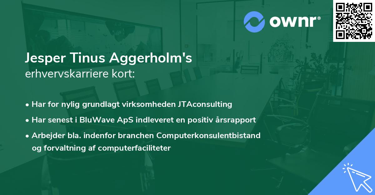 Jesper Tinus Aggerholm's erhvervskarriere kort