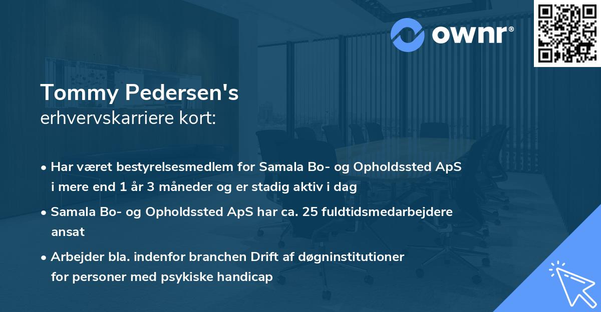 Tommy Pedersen's erhvervskarriere kort