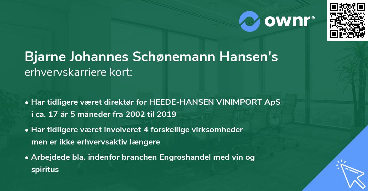 Bjarne Johannes Schønemann Hansen's erhvervskarriere kort