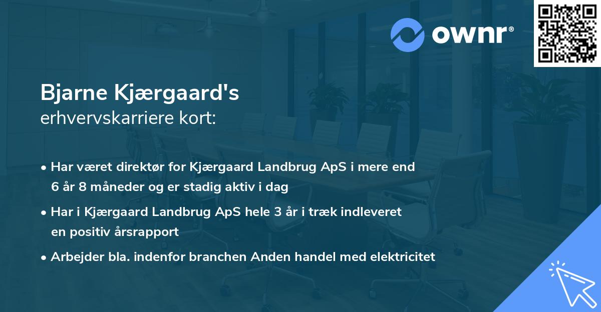 Bjarne Kjærgaard's erhvervskarriere kort