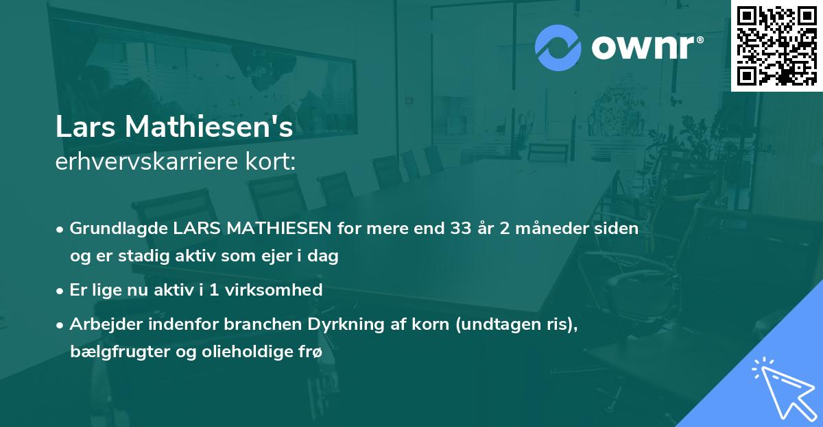 Lars Mathiesen's erhvervskarriere kort