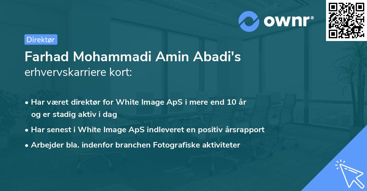Farhad Mohammadi Amin Abadi's erhvervskarriere kort