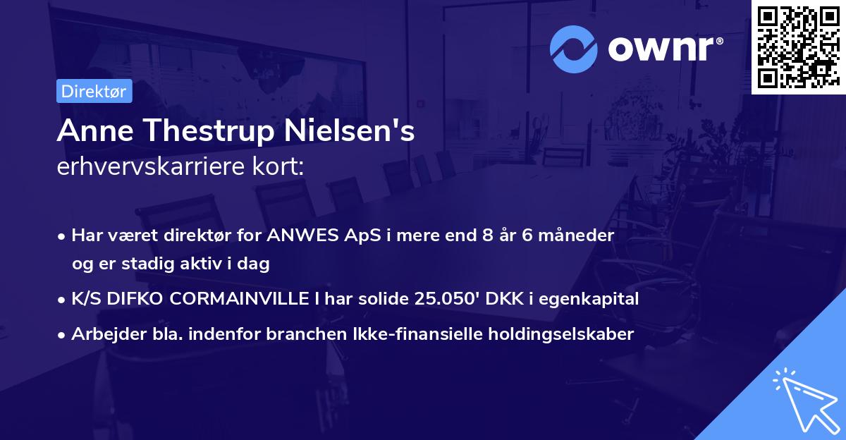 Anne Thestrup Nielsen's erhvervskarriere kort
