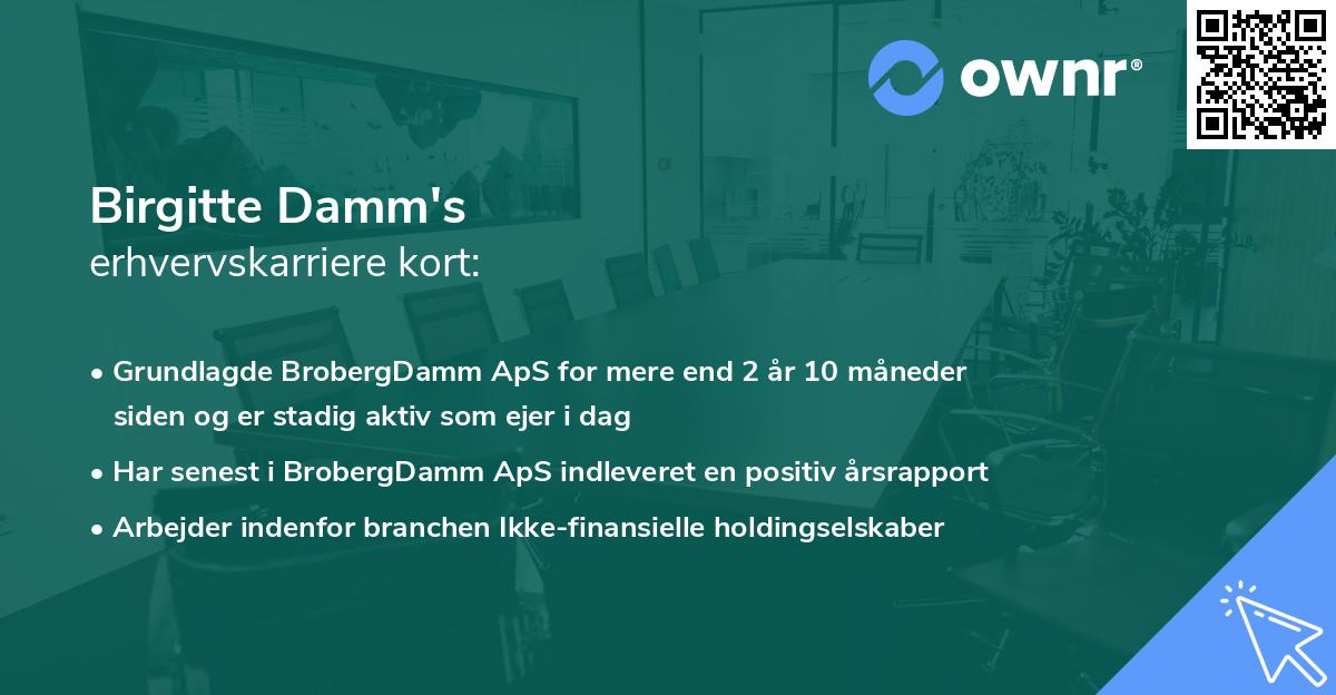 Birgitte Damm's erhvervskarriere kort