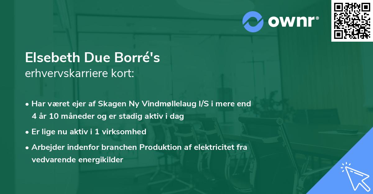Elsebeth Due Borré's erhvervskarriere kort