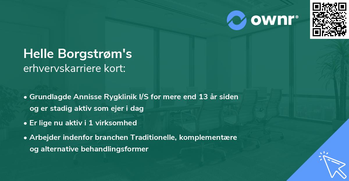Helle Borgstrøm's erhvervskarriere kort