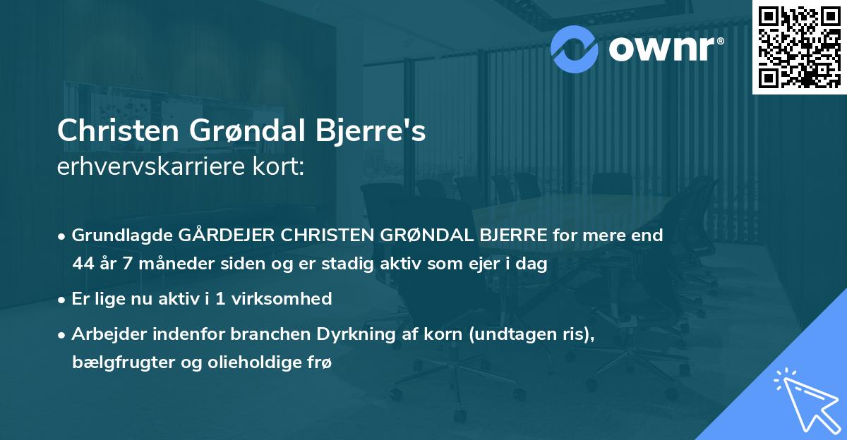 Christen Grøndal Bjerre's erhvervskarriere kort