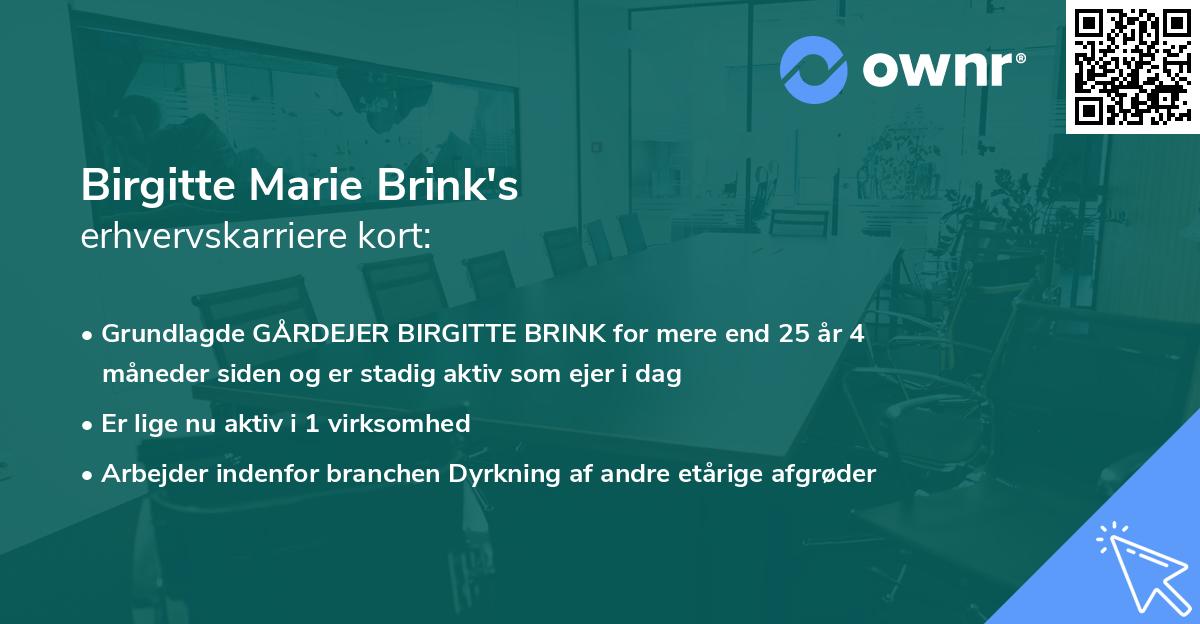 Birgitte Marie Brink's erhvervskarriere kort