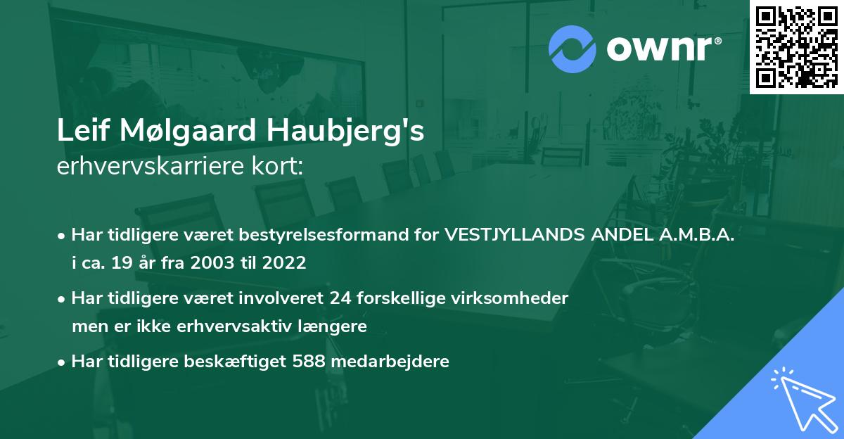 Leif Mølgaard Haubjerg's erhvervskarriere kort