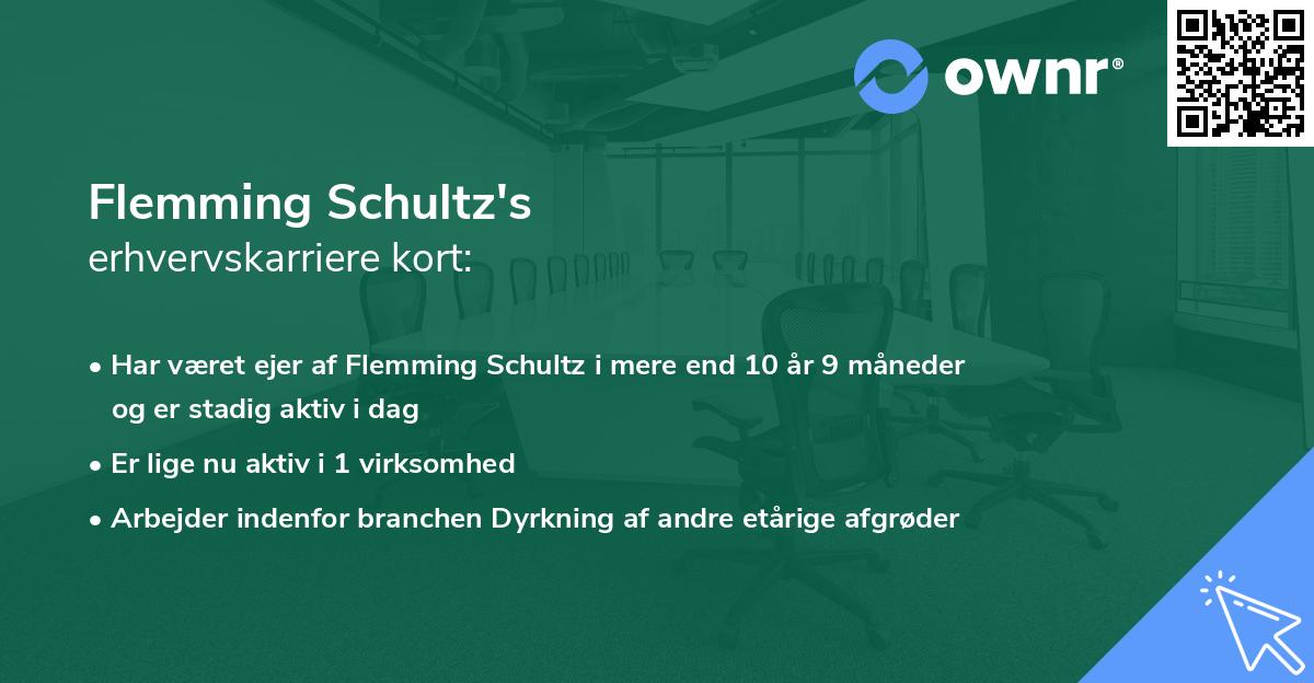 Flemming Schultz's erhvervskarriere kort