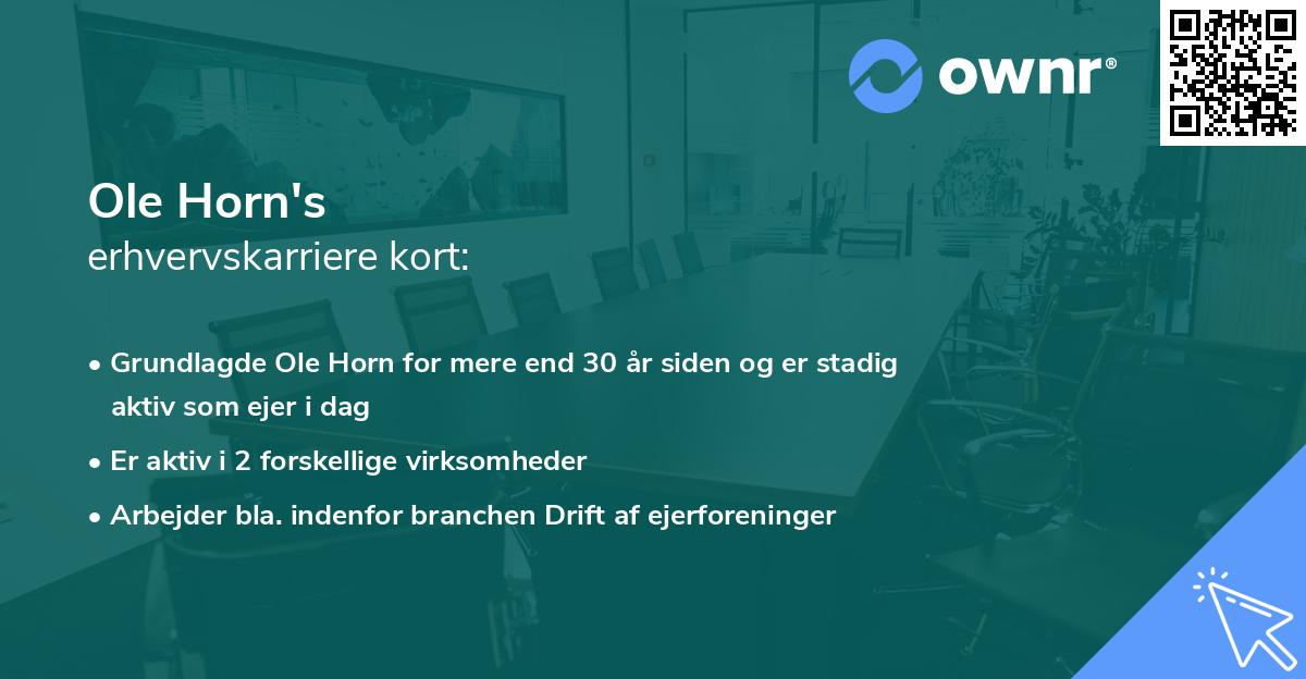 Ole Horn's erhvervskarriere kort