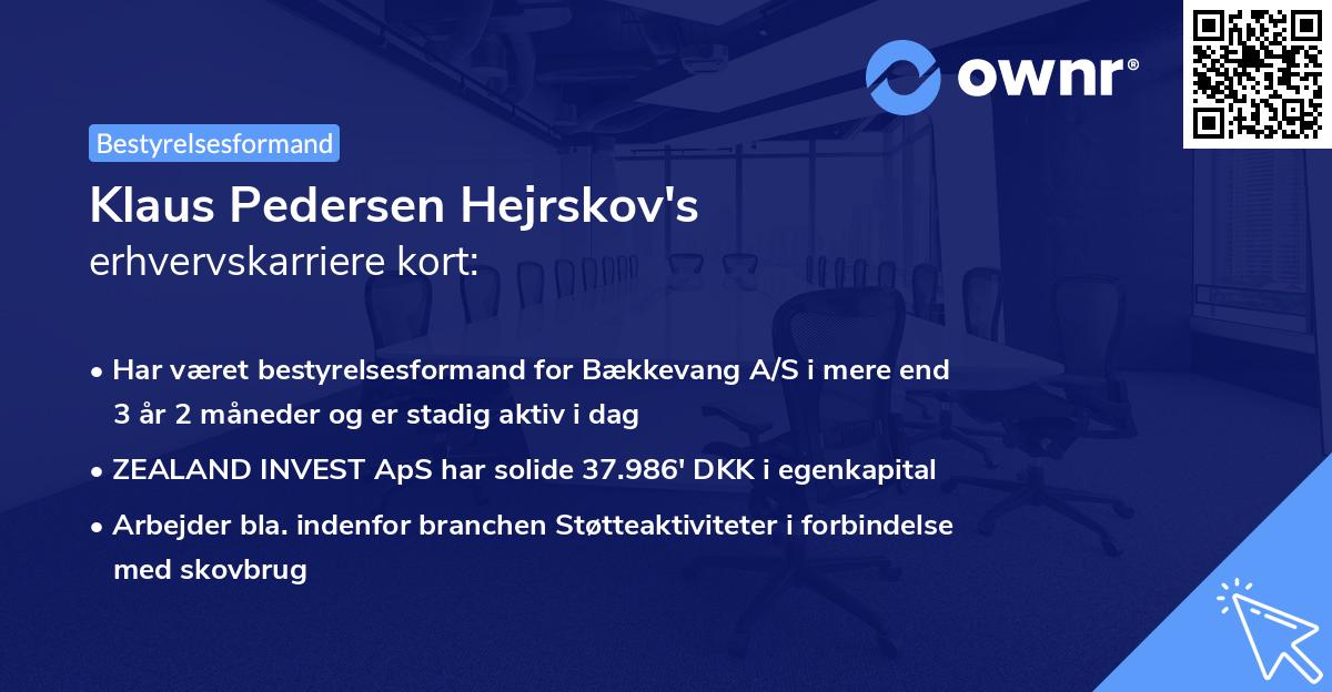 Klaus Pedersen Hejrskov's erhvervskarriere kort