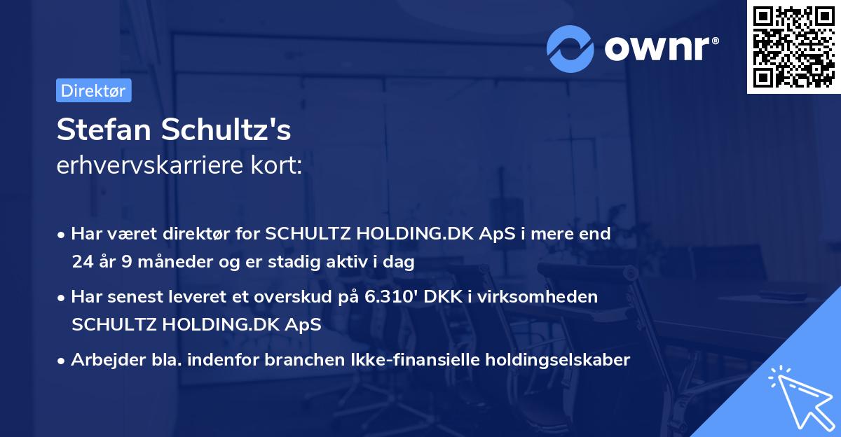 Stefan Schultz's erhvervskarriere kort