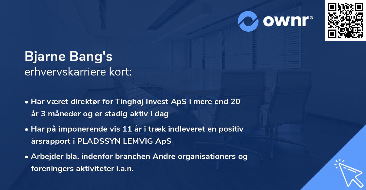 Bjarne Bang's erhvervskarriere kort