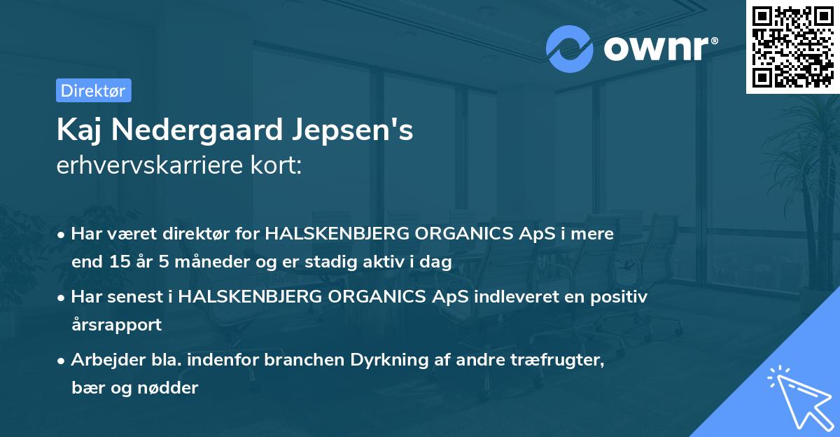 Kaj Nedergaard Jepsen's erhvervskarriere kort