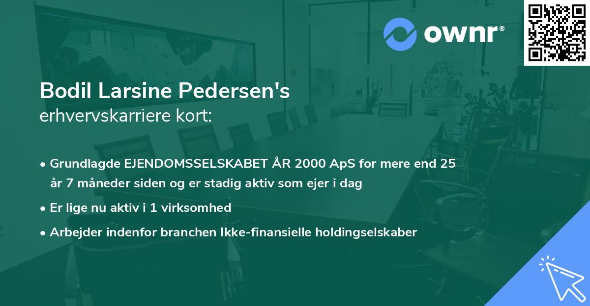 Bodil Larsine Pedersen's erhvervskarriere kort