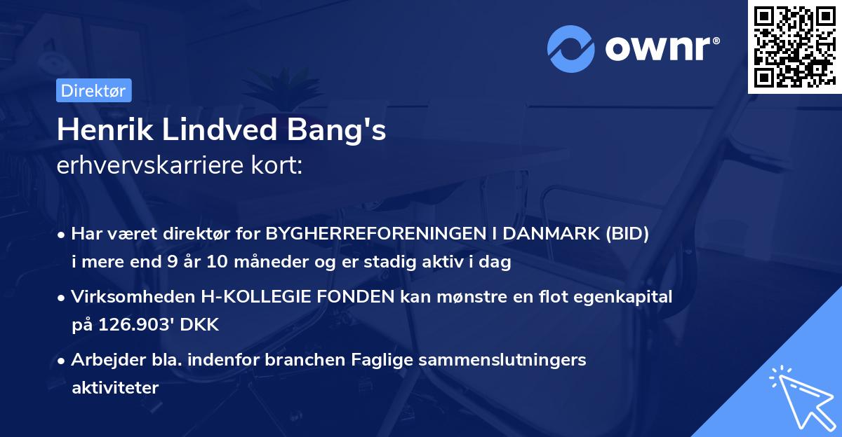 Henrik Lindved Bang's erhvervskarriere kort