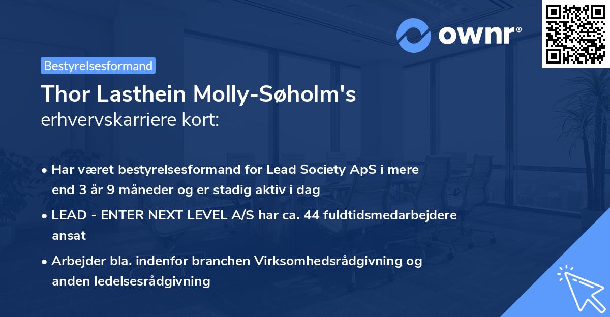 Thor Lasthein Molly-Søholm's erhvervskarriere kort