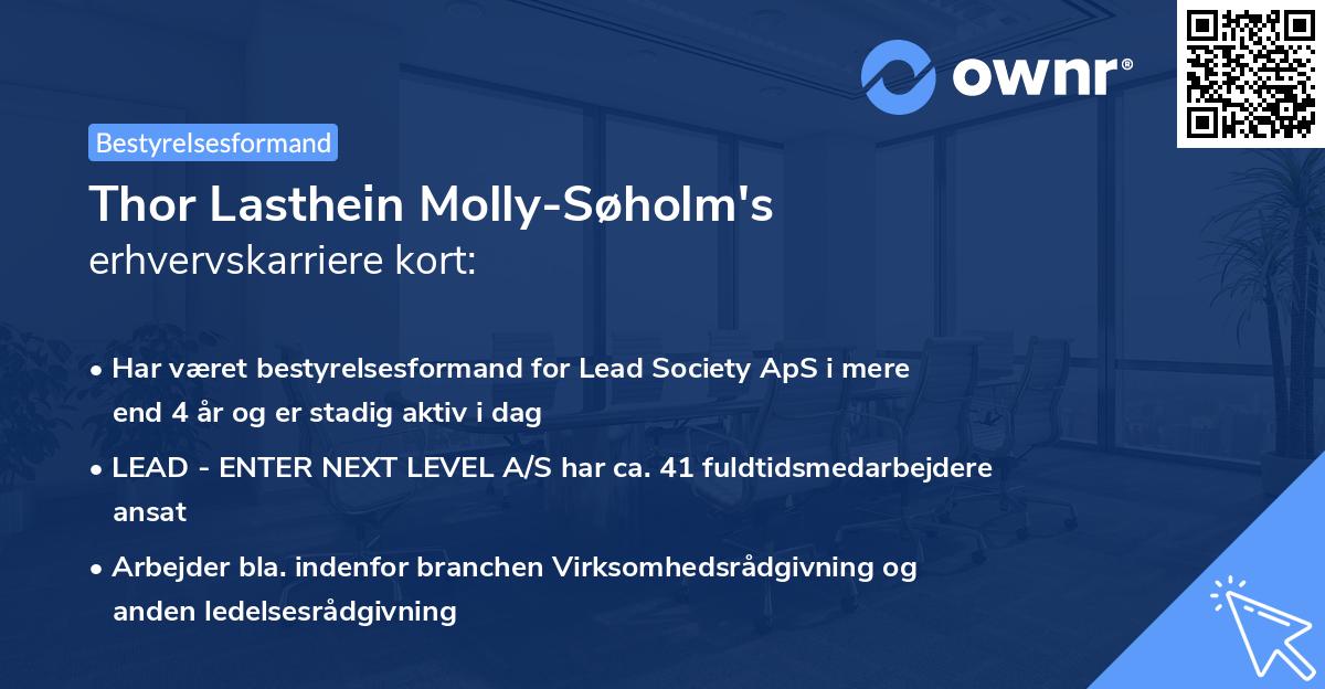 Thor Lasthein Molly-Søholm's erhvervskarriere kort