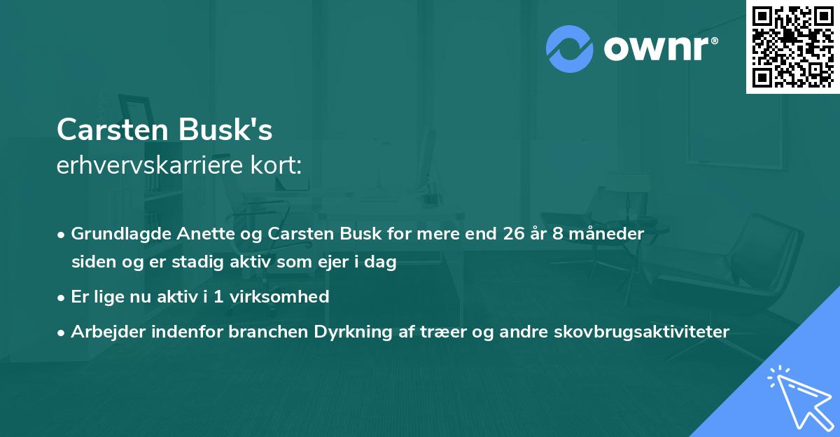 Carsten Busk's erhvervskarriere kort