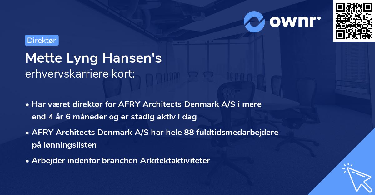 Mette Lyng Hansen's erhvervskarriere kort