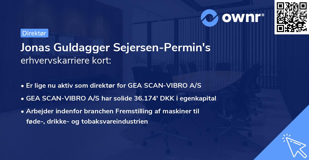 Jonas Guldagger Sejersen-Permin's erhvervskarriere kort