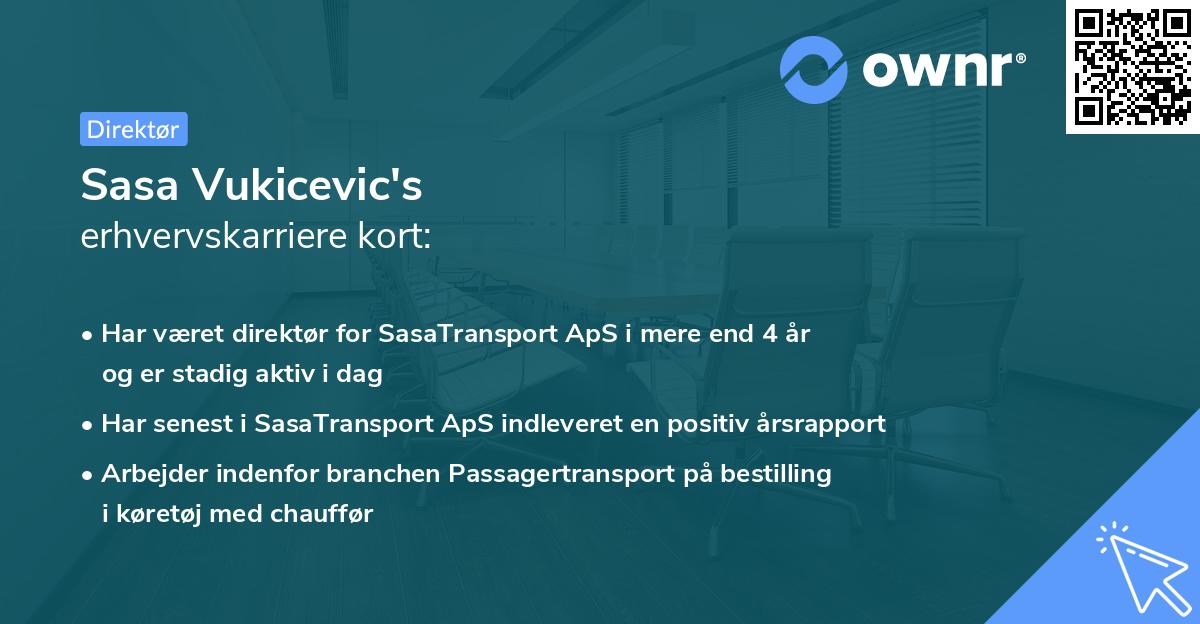 Sasa Vukicevic's erhvervskarriere kort