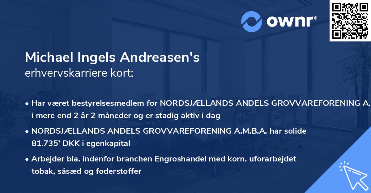 Michael Ingels Andreasen's erhvervskarriere kort