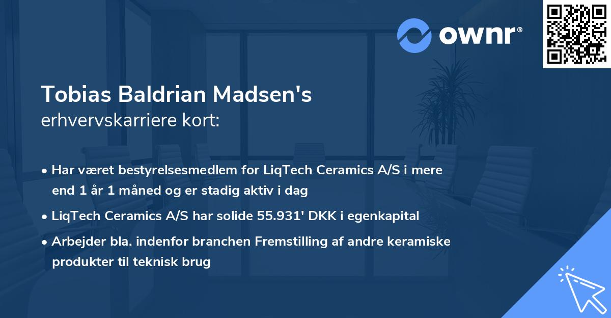Tobias Baldrian Madsen's erhvervskarriere kort