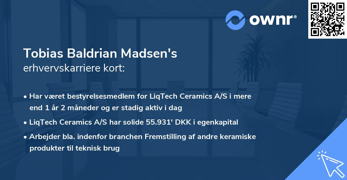 Tobias Baldrian Madsen's erhvervskarriere kort