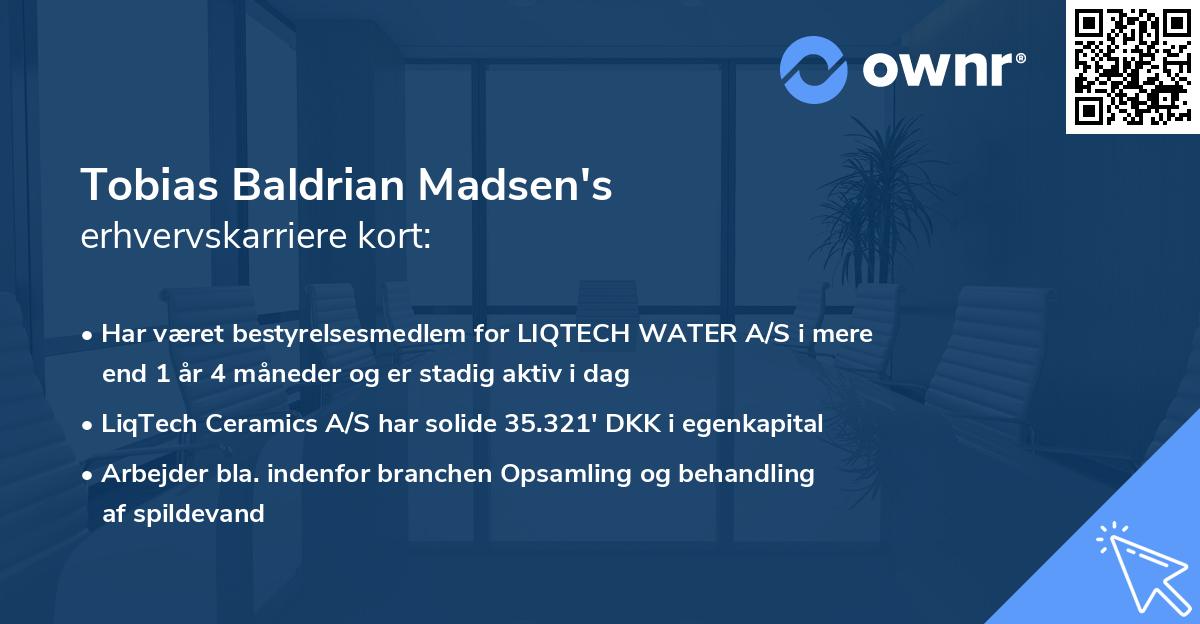 Tobias Baldrian Madsen's erhvervskarriere kort