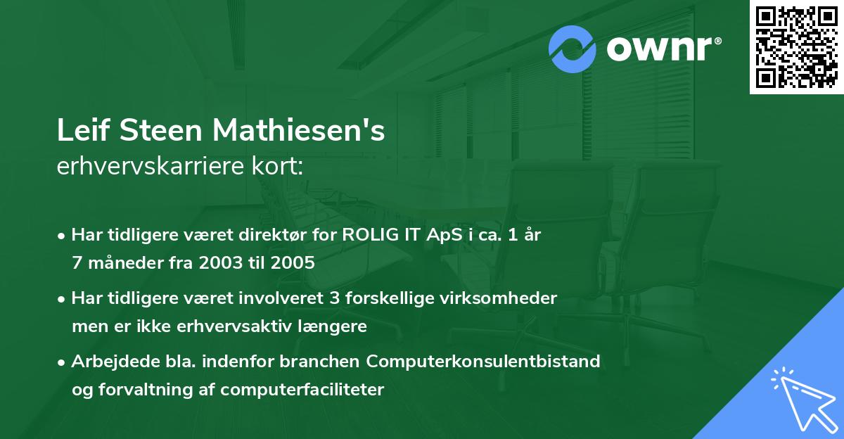 Leif Steen Mathiesen's erhvervskarriere kort