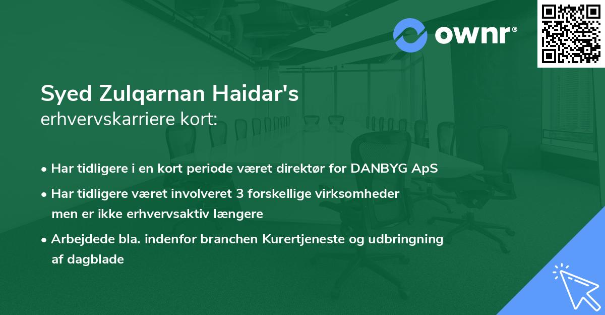 Syed Zulqarnan Haidar's erhvervskarriere kort