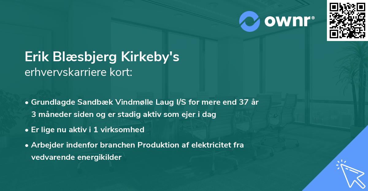Erik Blæsbjerg Kirkeby's erhvervskarriere kort