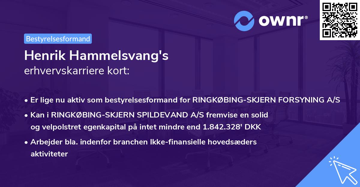 Henrik Hammelsvang's erhvervskarriere kort